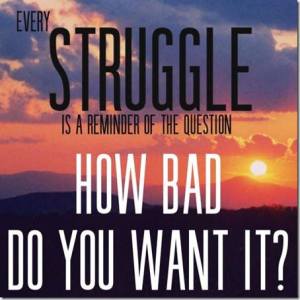 1798688_1582565835333486_8131660547585100005_n