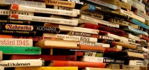 14212171_1766790200244381_7898073516573962191_n